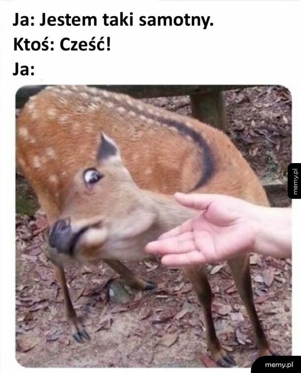 Samotność