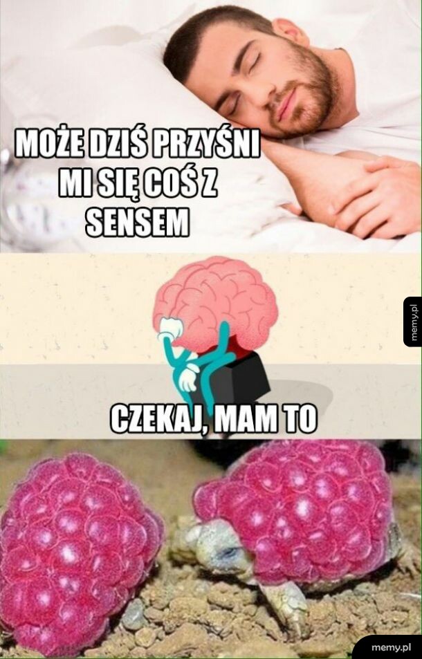 Coś z sensem