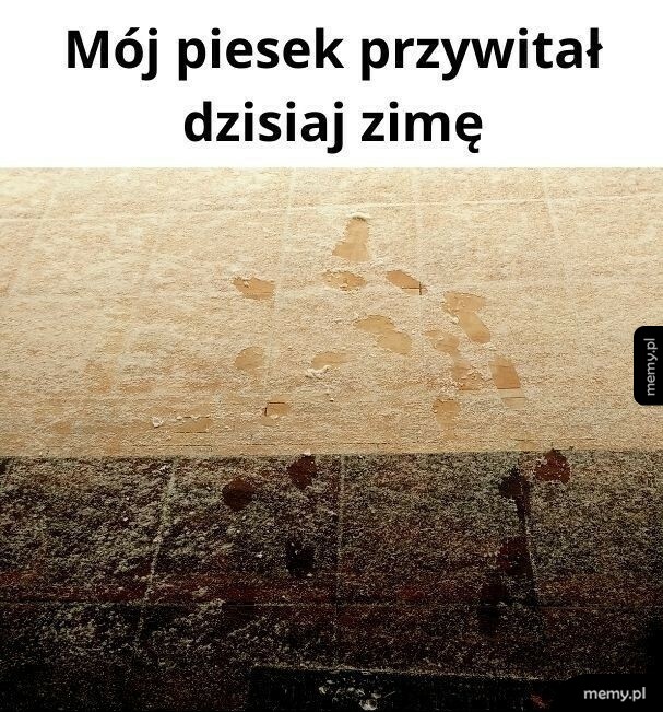 Przywitanie zimy