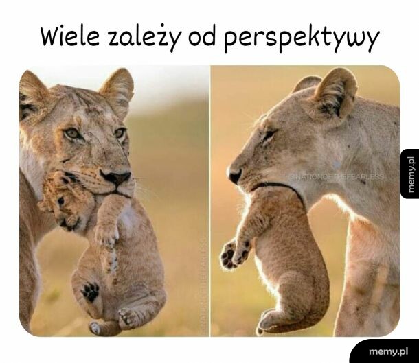Punkt widzenia ma znaczenie