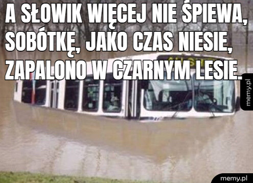 A słowik więcej nie śpiewa,Sobótkę, jako czas niesie,Zapalono w Czarnym Lesie.