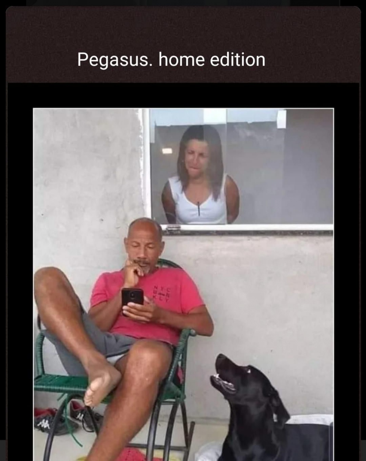Pegaz klacz