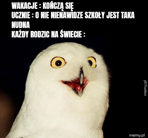 Wakacje : kończą sięucznie : o nie nienawidze szkoły jest taka nudnakażdy rodzic na świecie :