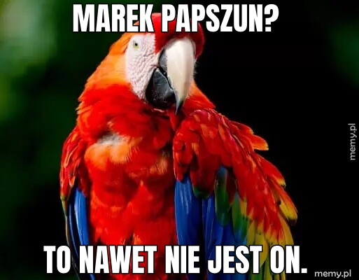 Marek Papszun?  To nawet nie jest on.