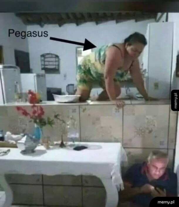 Pegasus