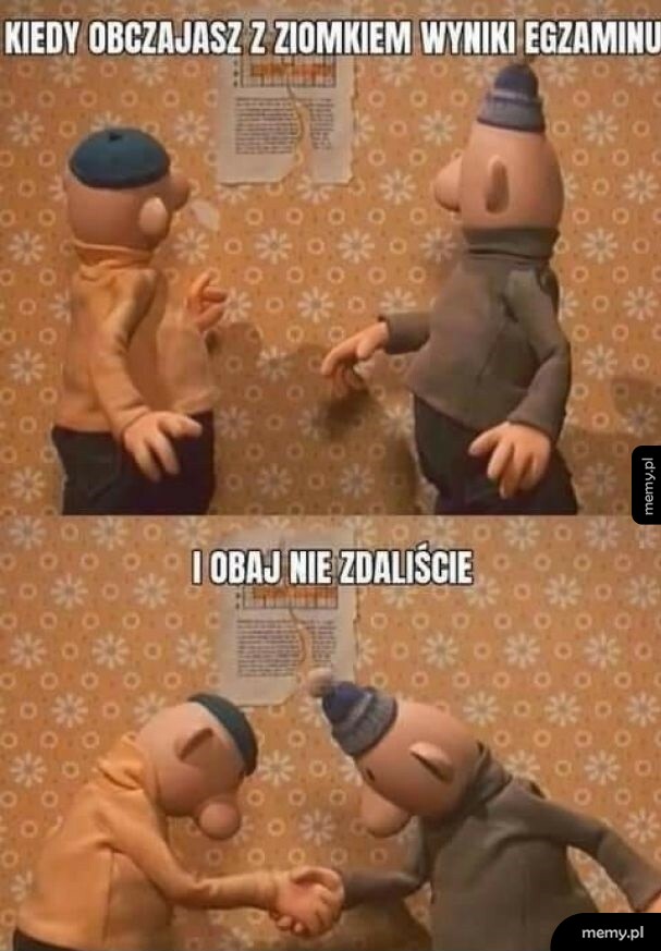 Wyniki