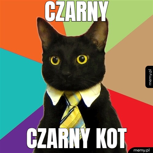 Czarny czarny kot