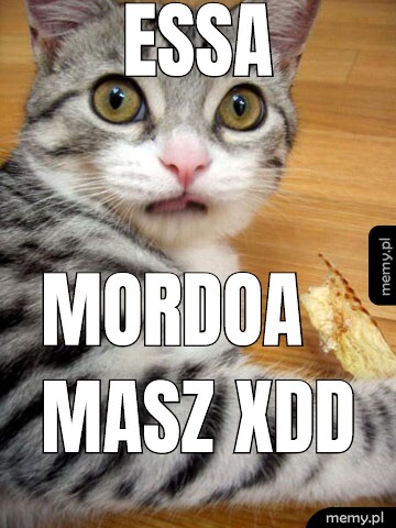 Essa mordoa masz XDD