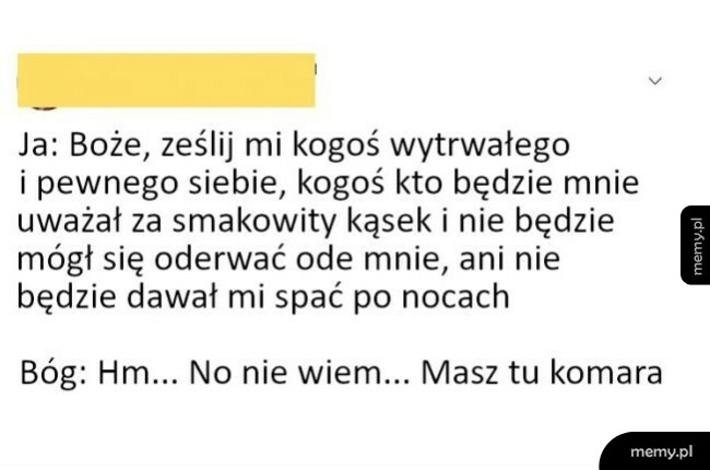 Mówisz i masz