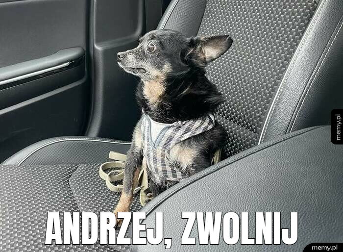 andrzej, zwolnij