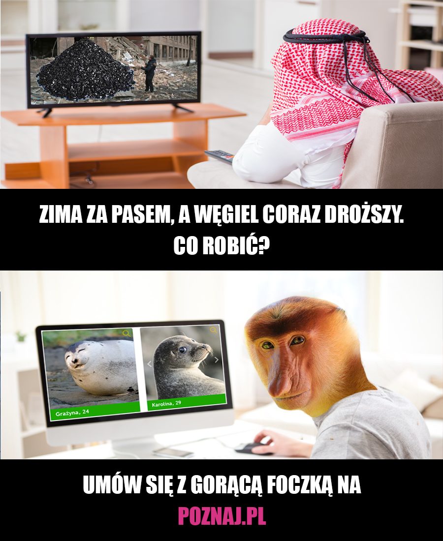 Alternatywa dla węgla
