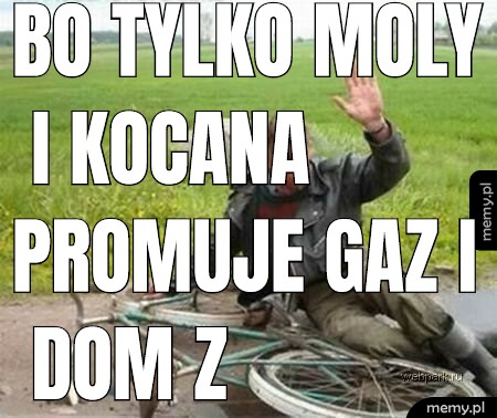 Bo tylko moly i kocana promuje gaz i dom z kartonu czy aluminium nie druku kwantowego.
