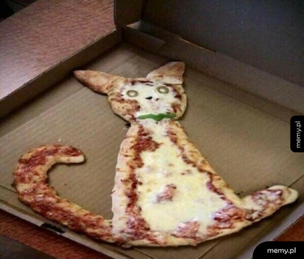 Pizza dla kociarzy