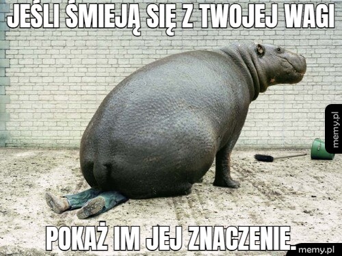 Jeśli śmieją się z twojej wagi pokaż im jej znaczenie.