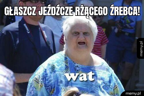 Głaszcz jeźdźcze rżącego źrebca!
