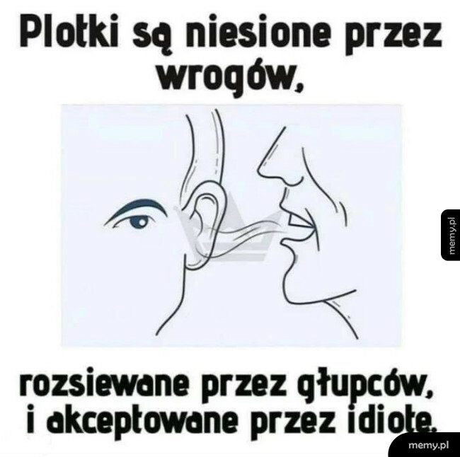 Plotki
