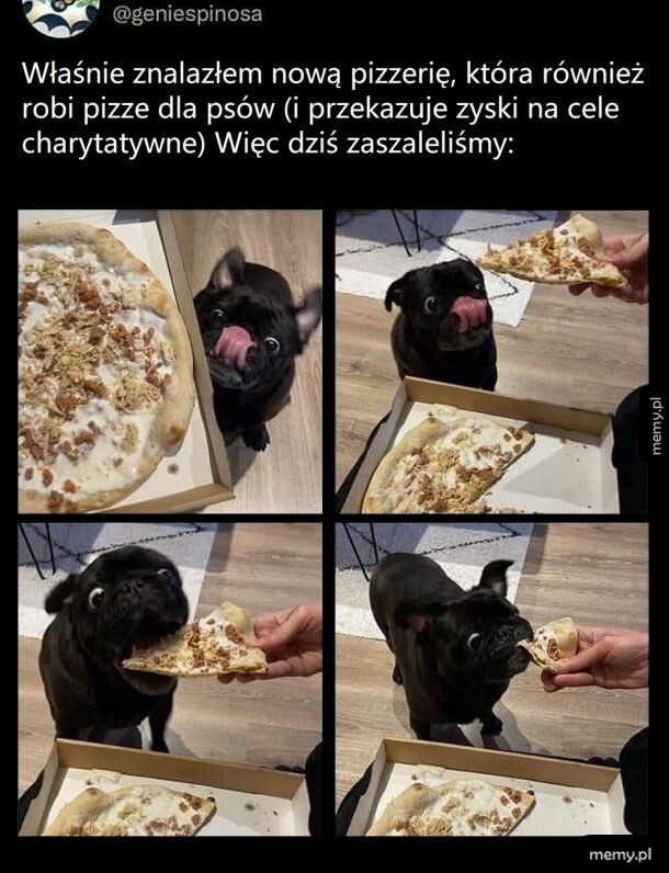 Pizza time