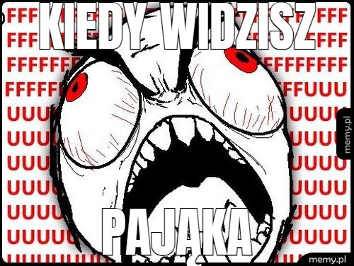 Kiedy widzisz pająka