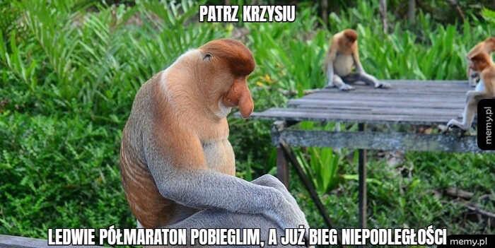 Patrz Krzysiu Ledwie półmaraton pobieglim, a już bieg niepodległości