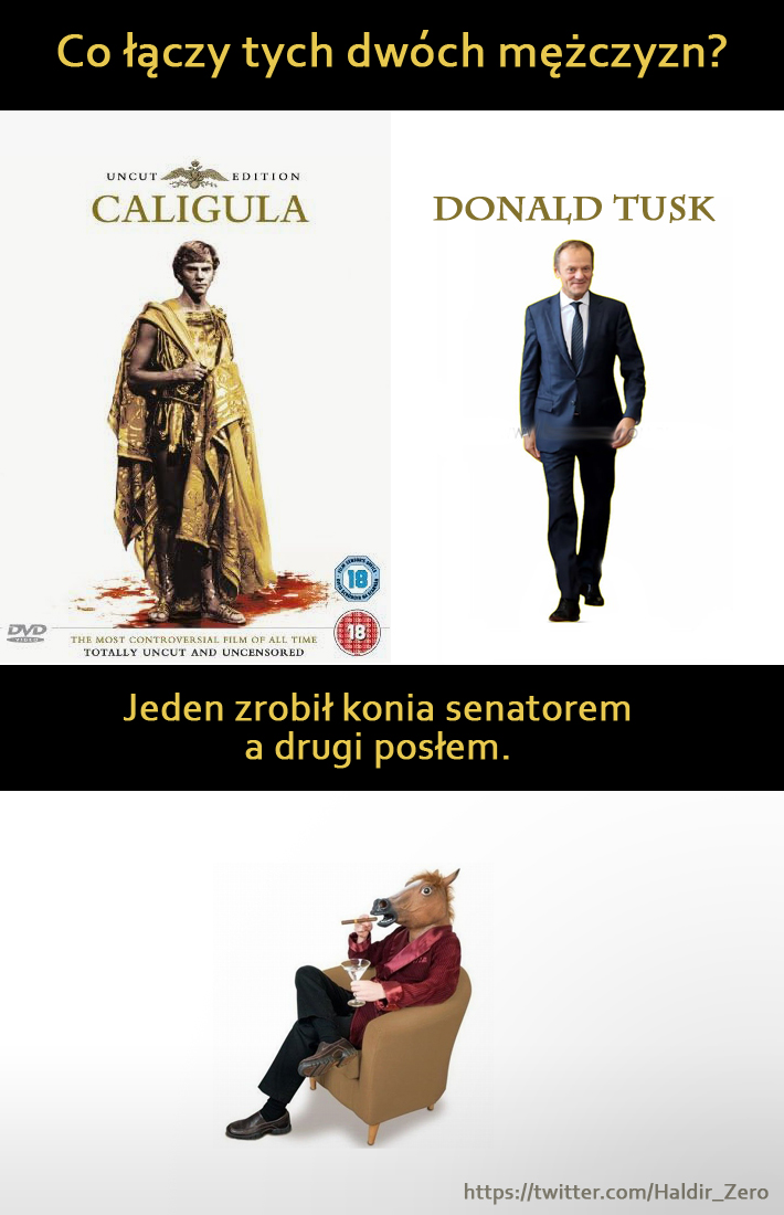 Wybory do sejmu