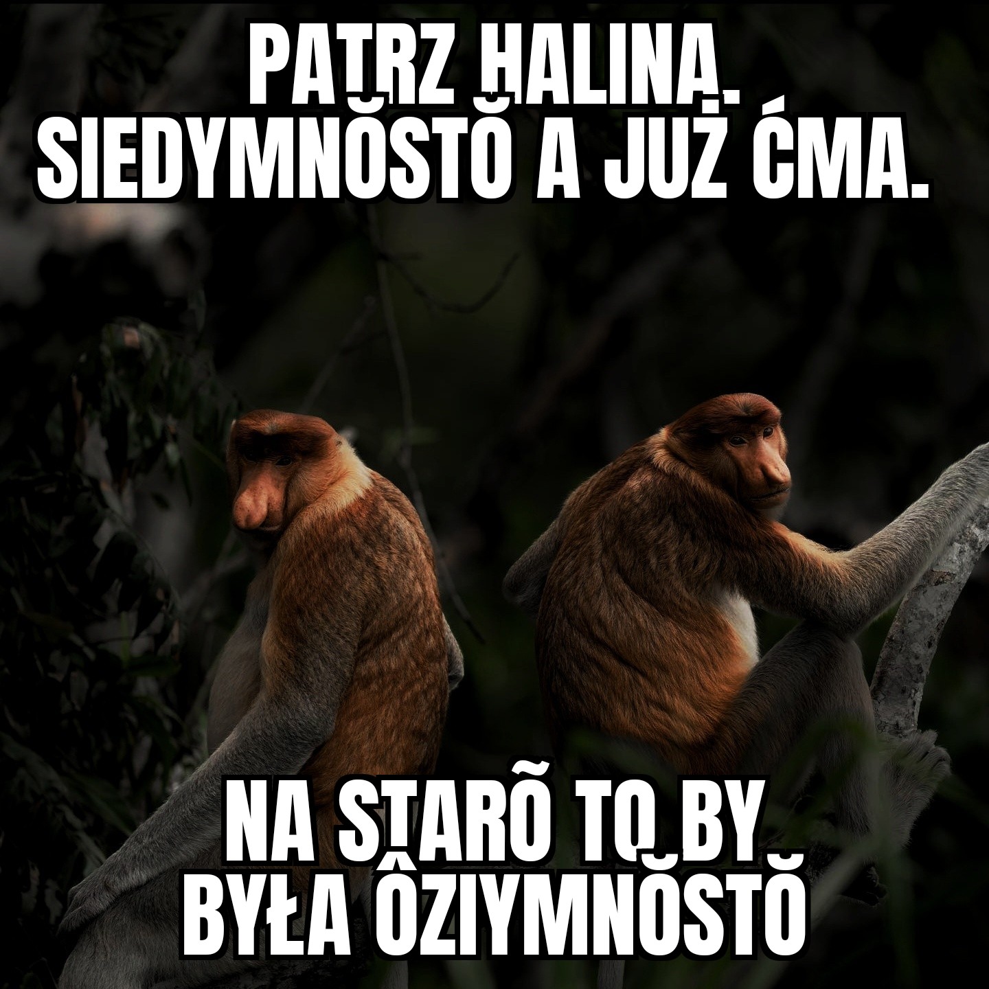 Nosacz zmiana czasu