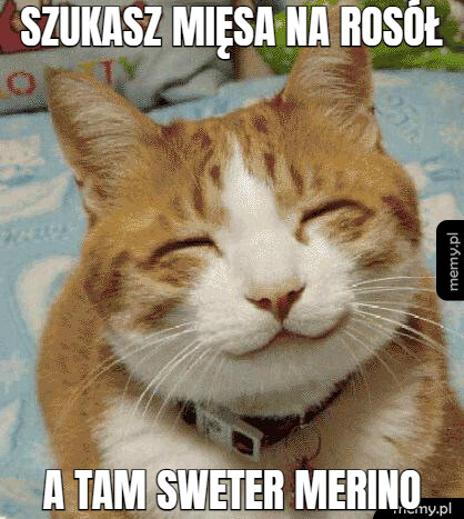 Szukasz mięsa na rosół a tam sweter merino