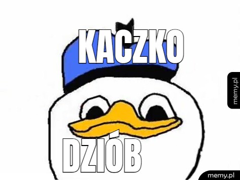 Kaczko dziób