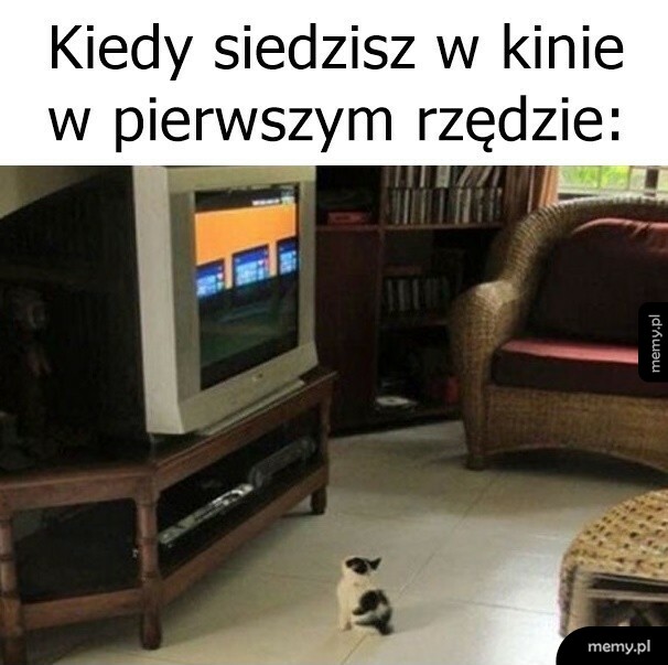 Pierwszy rząd w kinie
