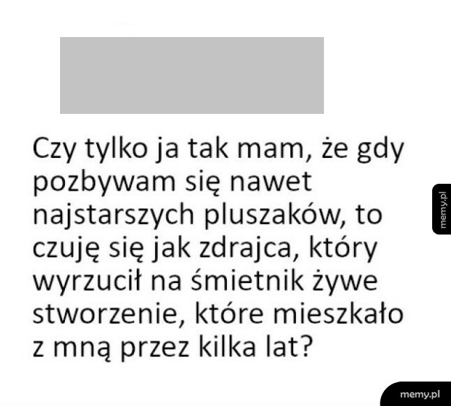 Mem z tekstem o poczuciu winy podczas wyrzucania starych pluszaków.