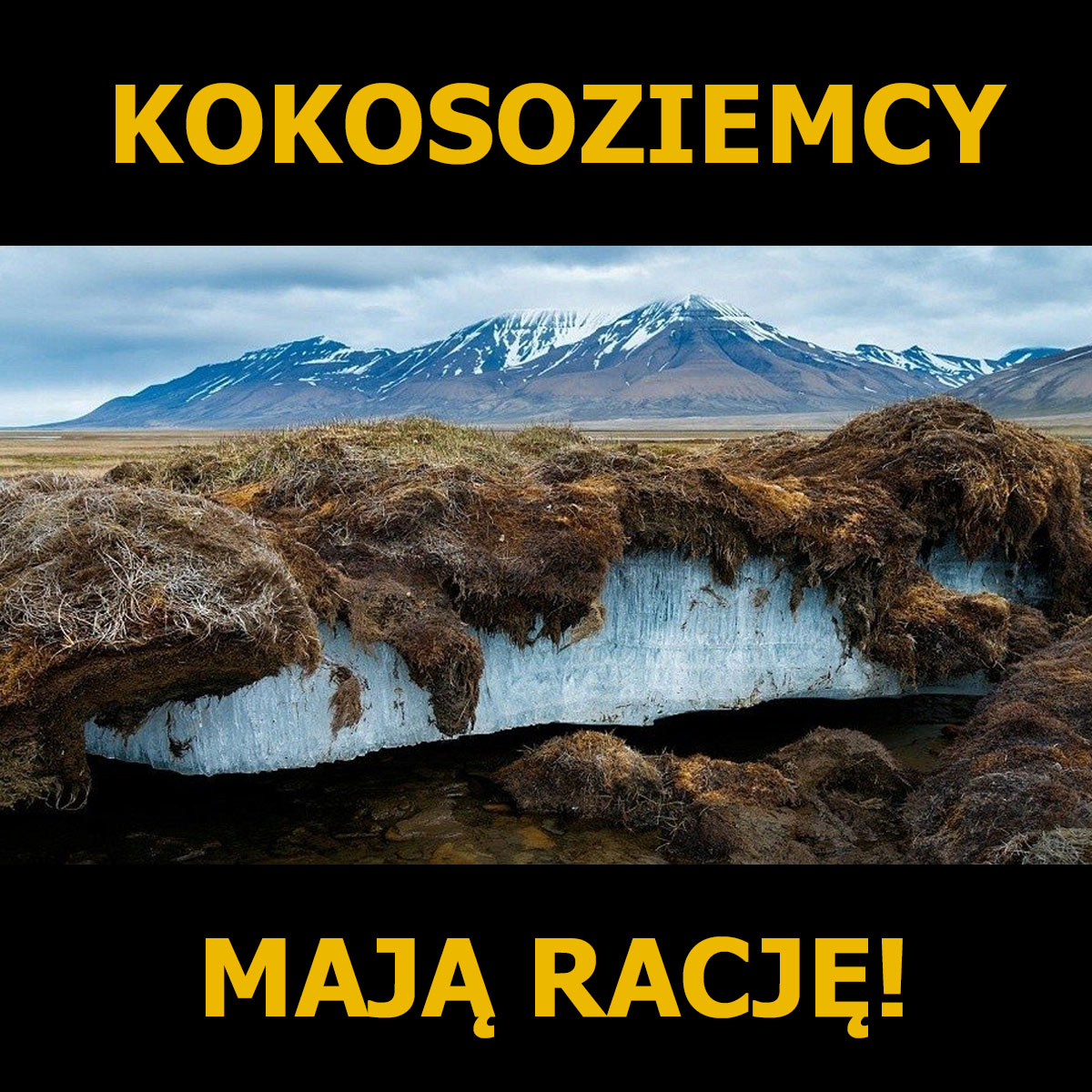kokosoziemcy