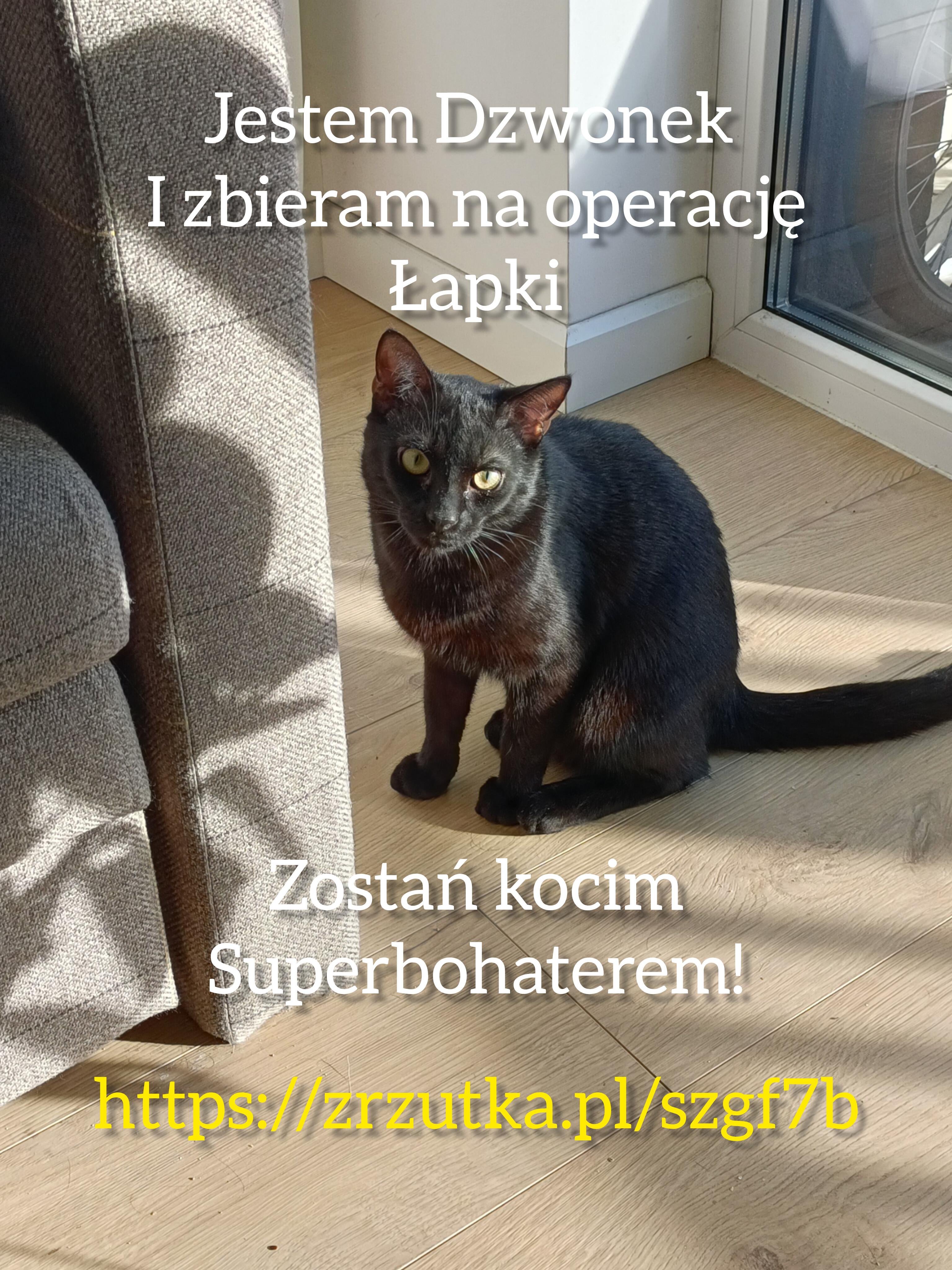 Chciałabym zostać gwiazdą memów i kaskaderem! Pomożesz?
