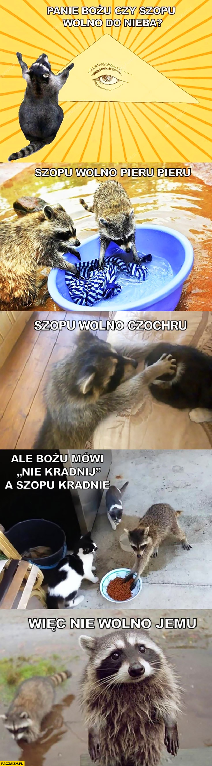 Reaktywacja memów!!!!