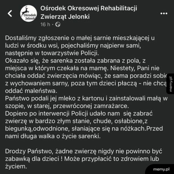 Zrzut ekranu postu z Facebooka o uratowanej sarence