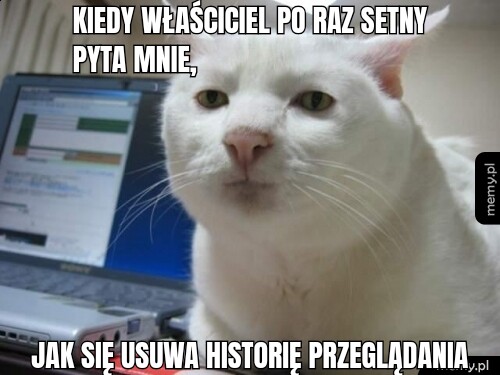 Kiedy właściciel po raz setnypyta mnie,  jak się usuwa historię przeglądania