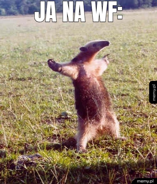 Ja na wf: