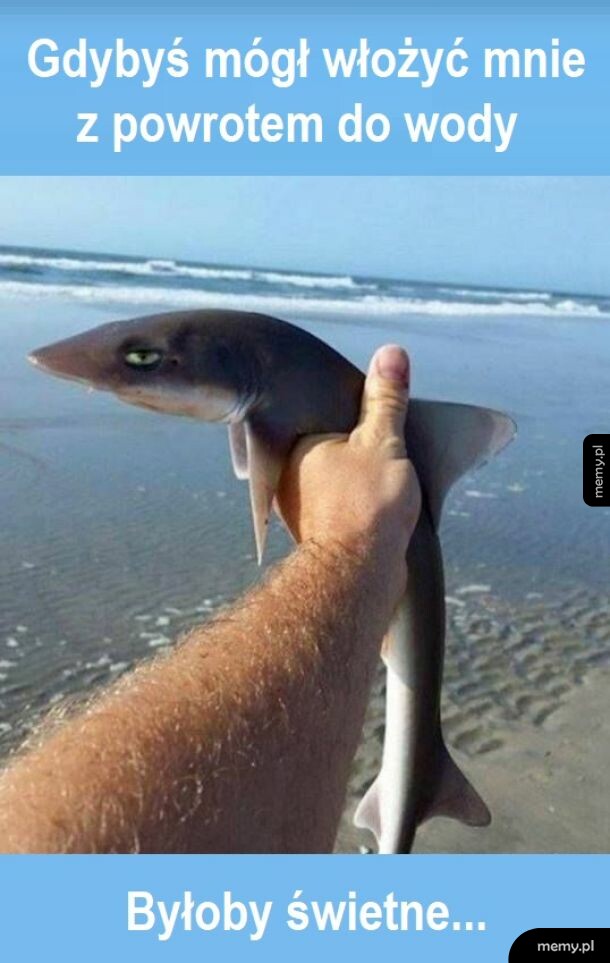 Mężczyzna trzymający małego rekin nad wodą na plaży.