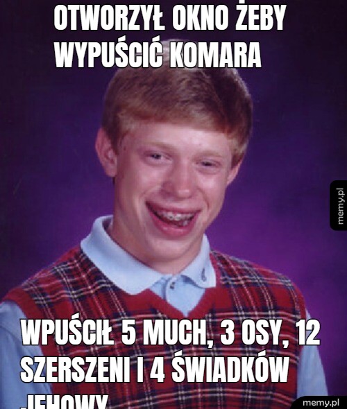 Otworzył okno żeby wypuścić komara wpuścił 5 much, 3 osy, 12 szerszeni i 4 Świadków Jehowy