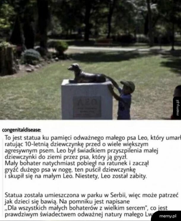 Chłopiec dotyka pomnika psa w parku
