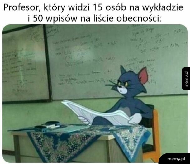 Kot Tom siedzący za biurkiem i czytający gazetę na tle tablicy
