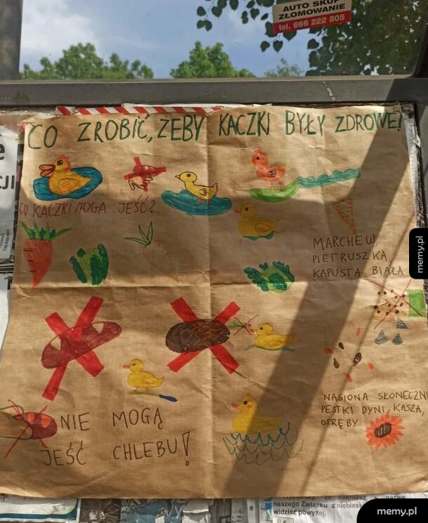 Ręcznie robiony plakat na papierze pakowym o karmieniu kaczek.
