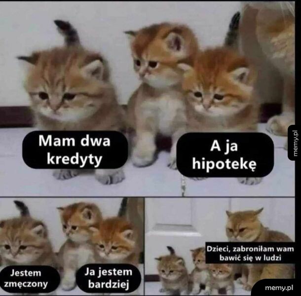 Cztery małe kotki i starszy kot z zabawnymi podpisami o kredytach.