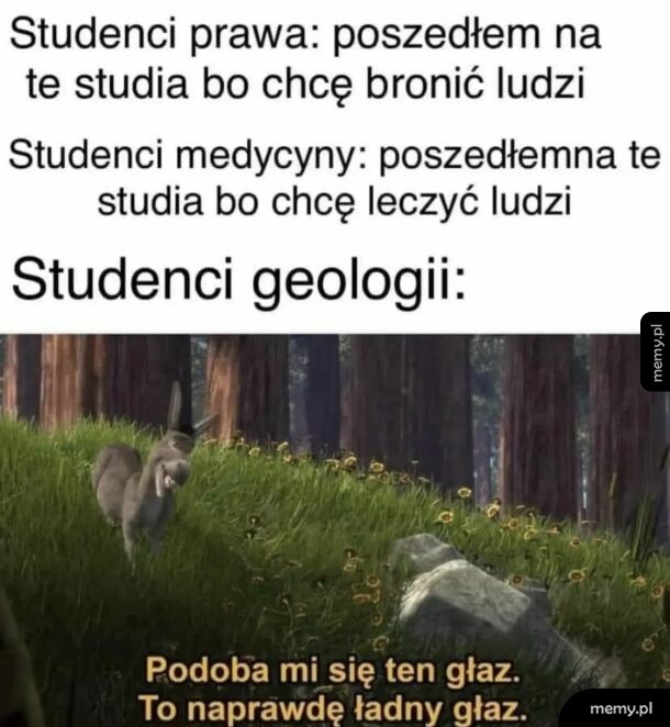 Mem o studentach prawa, medycyny i geologii z osłem ze Shreka podziwiającym głaz.