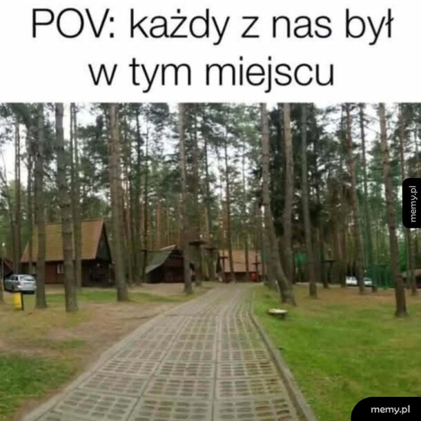 Memy.pl - widok na alejkę i domki w lesie, typowy ośrodek wypoczynkowy