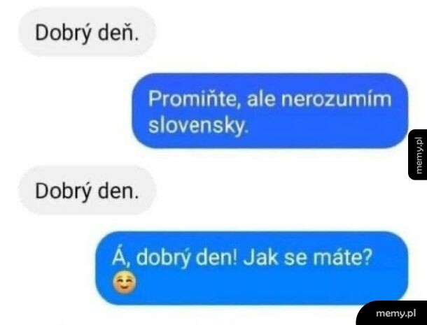 Zrzut ekranu z czatu pokazujący rozmowę w języku czeskim i słowackim.