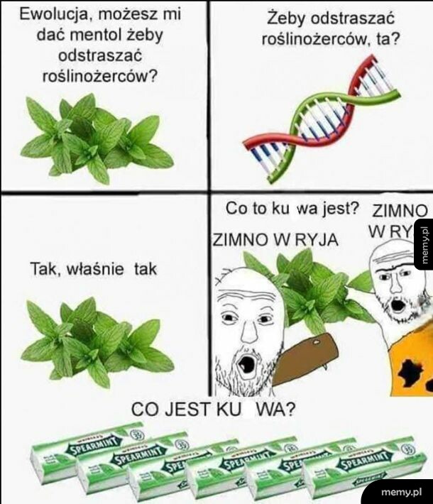Komiks o ewolucji mięty i reakcji jaskiniowców na jej chłodzący smak.