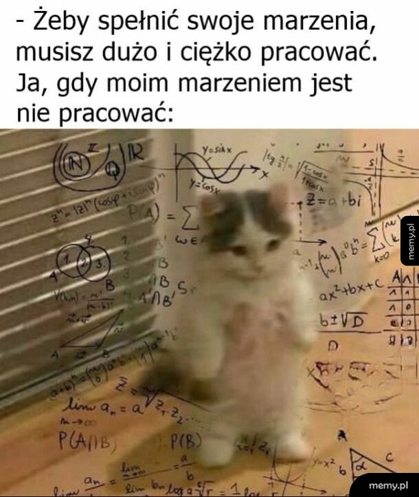 Kot stojący na tylnych łapach na tle skomplikowanych wzorów matematycznych.