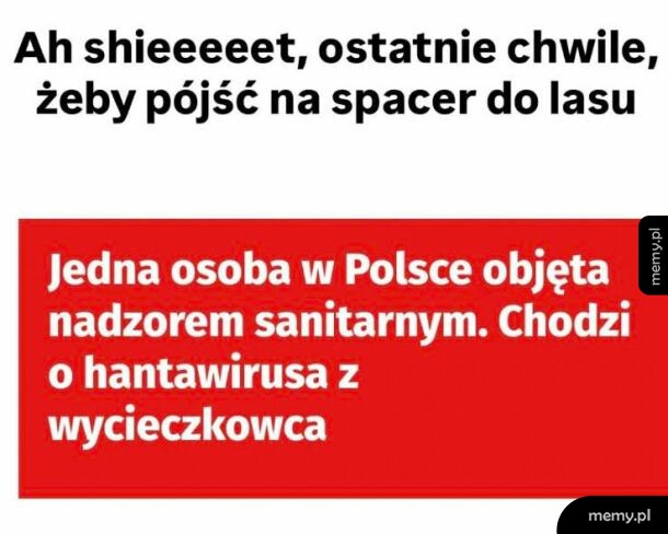 Mem z tekstem o hantawirusie i spacerze do lasu