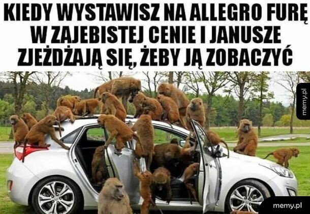 Stado pawianów oblegających biały samochód osobowy w plenerze.