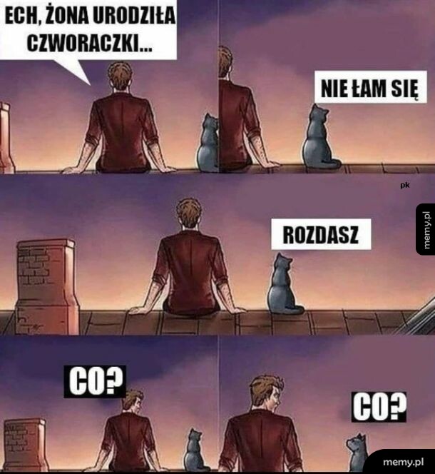 Mężczyzna z kotem na dachu rozmawiają o czwóraczkach