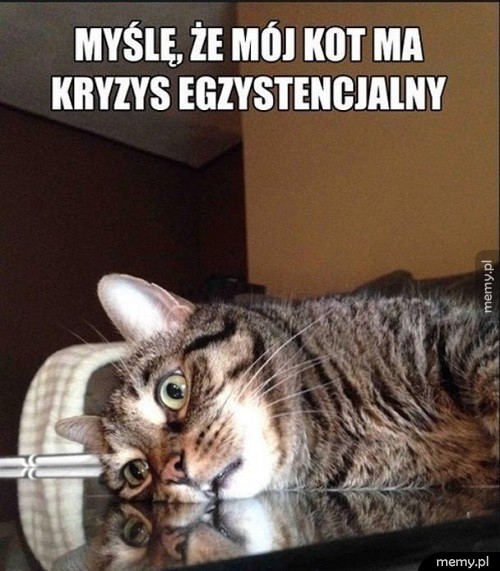 Kryzys